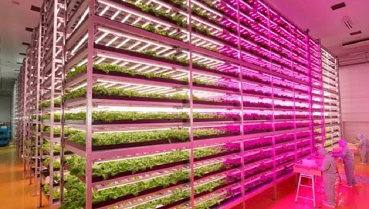 World’s first Robot Farm to open in 2017