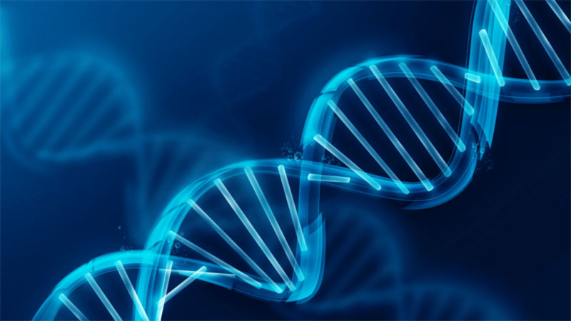 Physicists Confirm There’s a Second Layer of Information Hidden in Our DNA