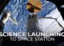 Science Launching on NASA’s Northrop Grumman CRS-23 Mission to the Space Station