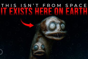 The Strangest Extinct Creatures Ever Discovered by Scientists