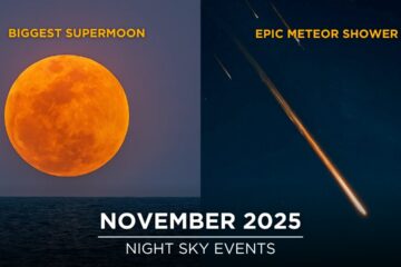 Don’t Miss These Astronomy Events in November | Supermoon | Comet Lemmon | Leonid Meteor Shower Don’t Miss These Astronomy Events in November | Supermoon | Comet Lemmon | Leonid Meteor Shower