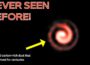 Unexpected Discovery: Wolf-Rayet Stars Create Dust That Lasts for Centuries!