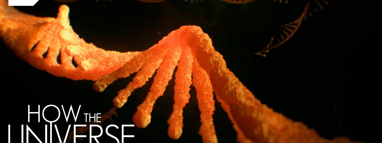 The Origin Of Our Genetic Code | How the Universe Works | Science Channel