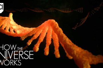 The Origin Of Our Genetic Code | How the Universe Works | Science Channel