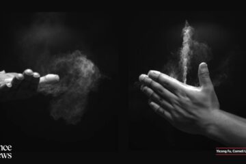 The physics behind the sound of clapping | Science News